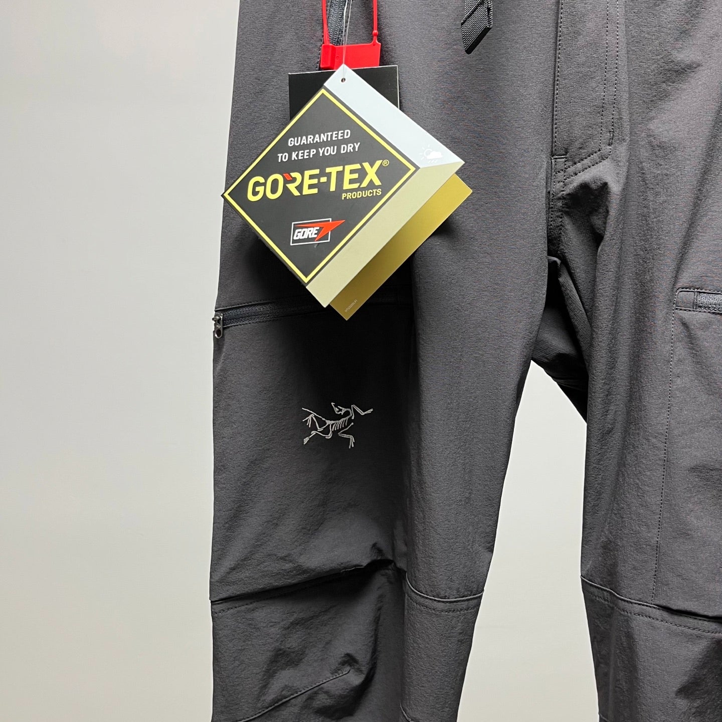 Arc'teryx Gamma MX Pant Men's